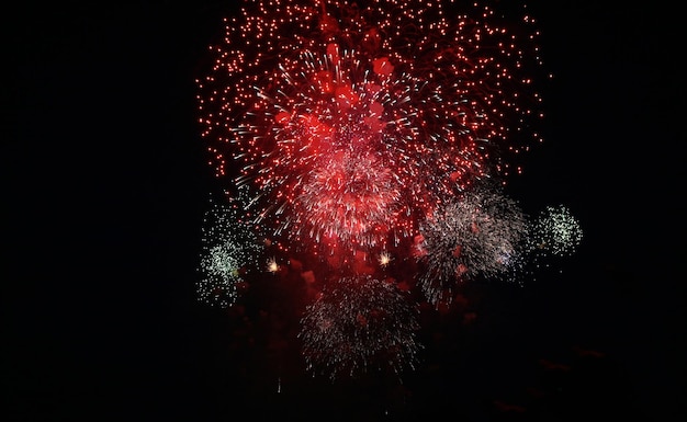 Fuegos artificiales de colores en el cielo oscuro