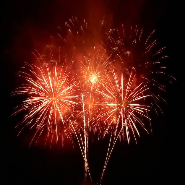 Fuegos artificiales de colores sobre el fondo del cielo negro