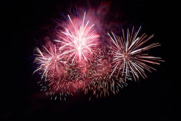 Fuegos artificiales de colores sobre el fondo del cielo negro