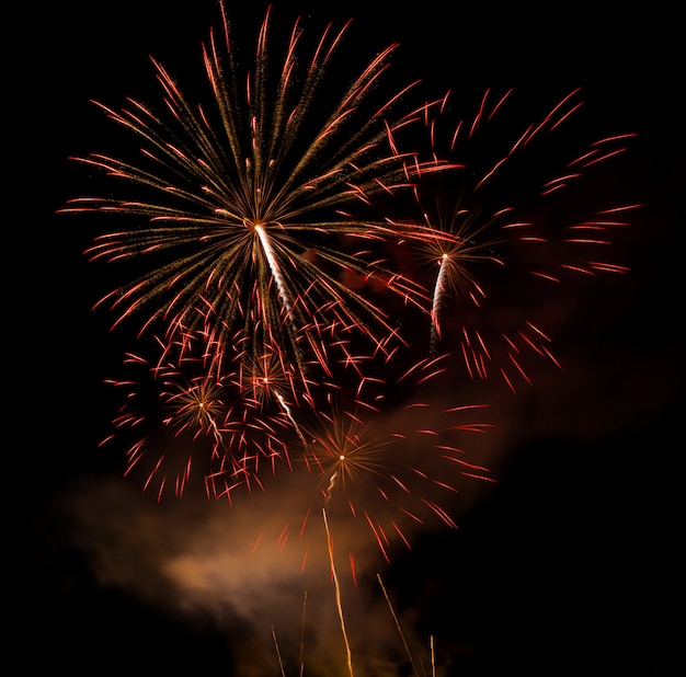 Fuegos artificiales de colores sobre negro