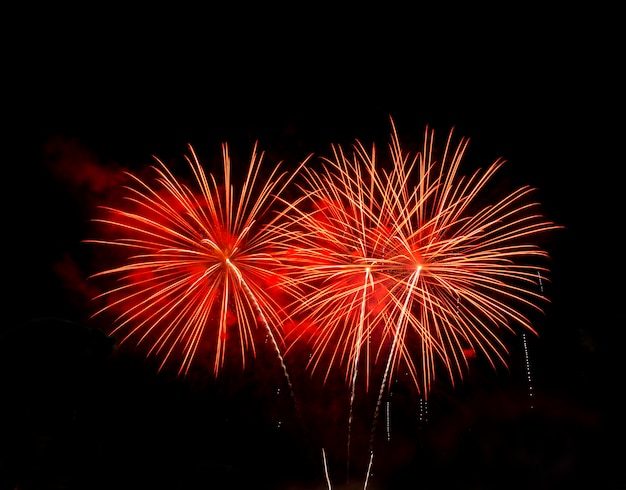 Fuegos artificiales de colores sobre negro