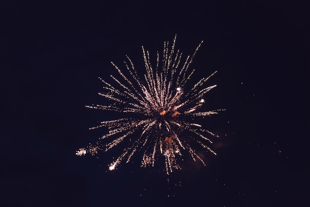 Fuegos artificiales de colores