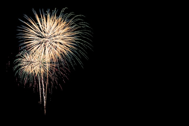 Los fuegos artificiales coloridos exhiben para la celebración en fondo negro.