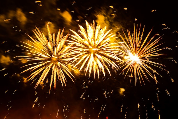 Fuegos artificiales dorados en forma de flores en un cielo nocturno negro