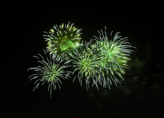 Fuegos artificiales en el fondo de cielo oscuro