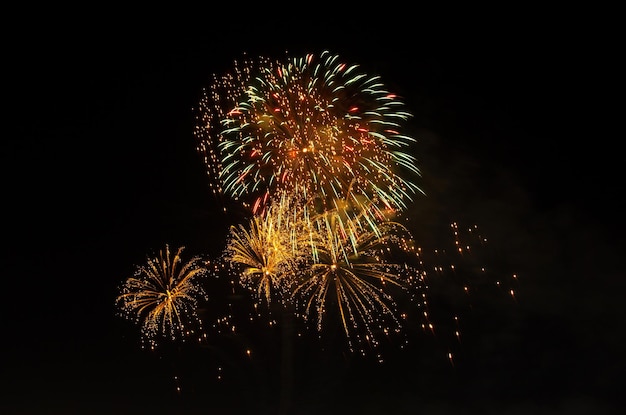 Fuegos artificiales en el fondo de cielo oscuro