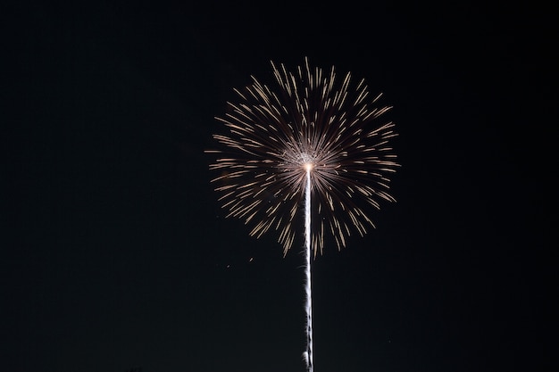 Fuegos artificiales en fondo negro