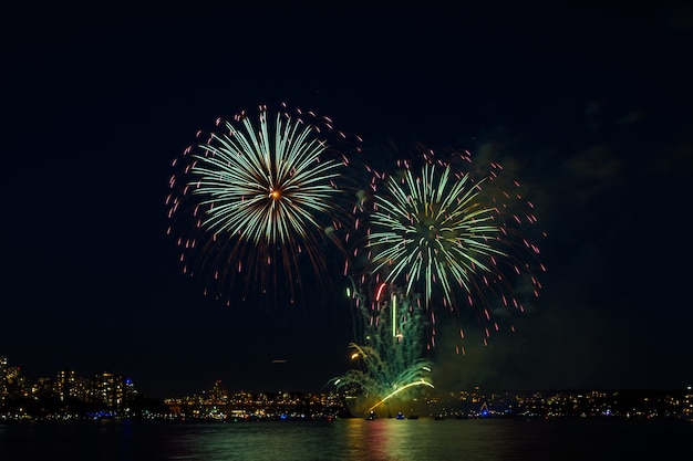 Fuegos artificiales hermosos. coloridos fuegos artificiales.