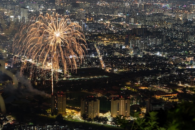 Fuegos artificiales iluminan el cielo nocturno