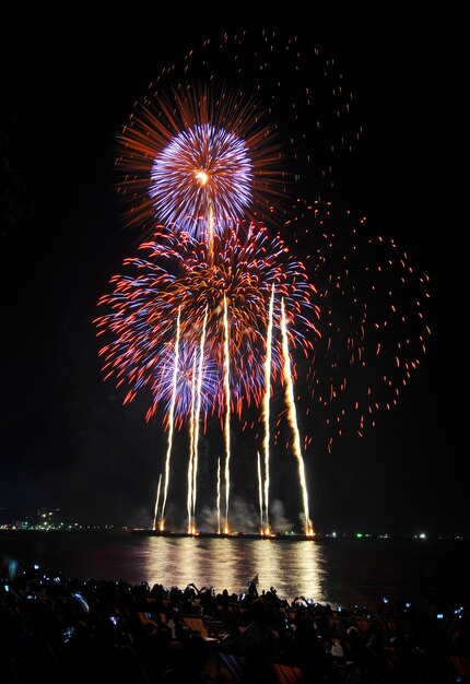 Los fuegos artificiales iluminan el cielo con una pantalla deslumbrante