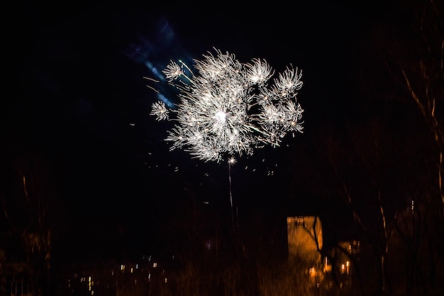 Fuegos artificiales multicolores en el cielo nocturno oscuro