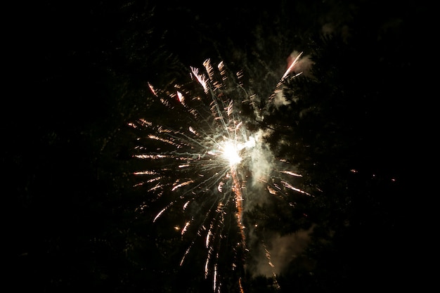 Fuegos artificiales de oro y amarillo contra el cielo oscuro. Fuegos artificiales en honor a la fiesta, Año Nuevo, Navidad de 2017. Hermosos fuegos artificiales grandes en el cielo nocturno