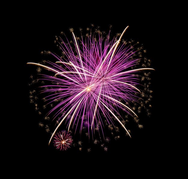 Fuegos artificiales rosas brillantes sobre fondo negro para celebración y aniversario