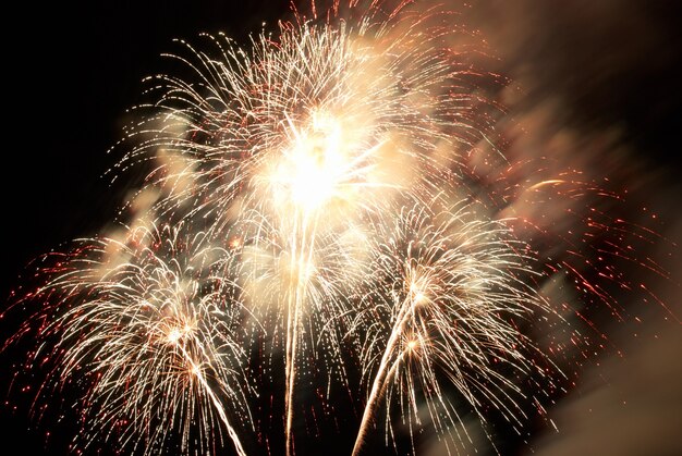 Fuegos artificiales, saludo con el fondo del cielo negro