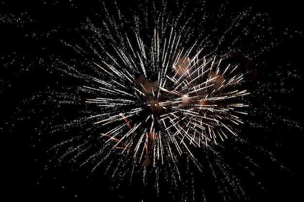 Fuegos artificiales sobre fondo negro