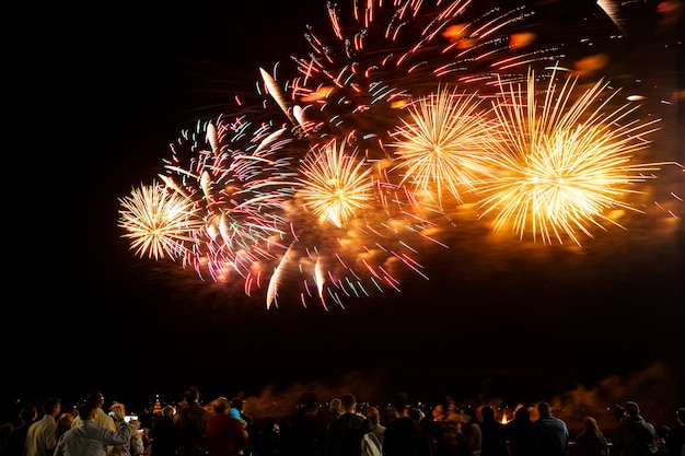 Fuegos artificiales de vacaciones cerca del río en el fondo del cielo negro