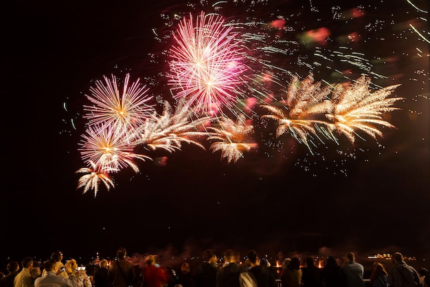 Fuegos artificiales de vacaciones cerca del río en el fondo del cielo negro