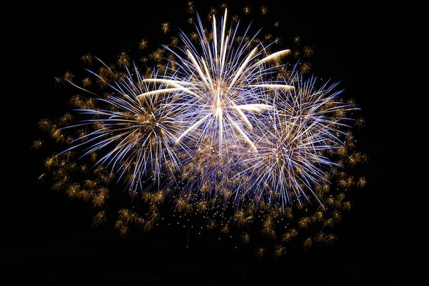 Fuegos artificiales de vacaciones por la noche en el cielo negro