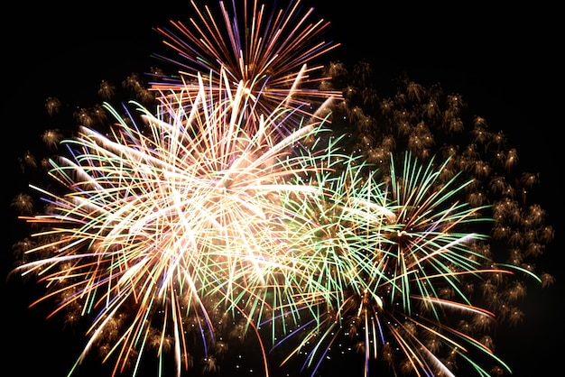 Fuegos artificiales de vacaciones por la noche en el cielo negro