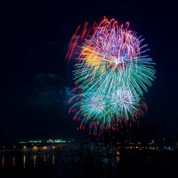 Fuegos artificiales