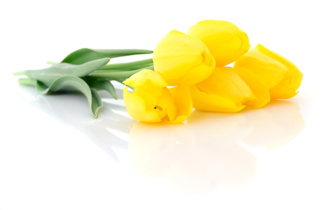 Fünf gelbe Tulpen