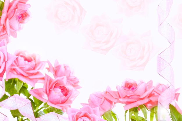 Fünf rote Rosen auf weißem Hintergrund Blumenhintergrund