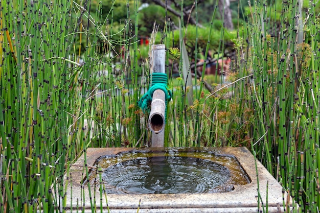 Fuente de agua de bambú japonesa