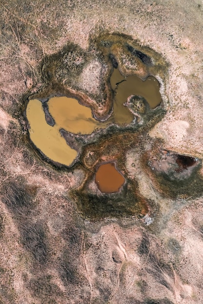 Fuente de agua dulce en otoño Paisaje de las Pampas Argentina