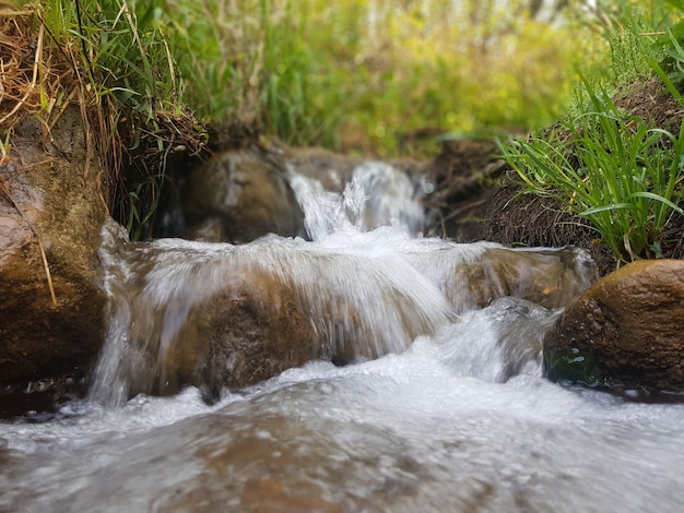 la fuente de agua fluye por las rocas hacia el río