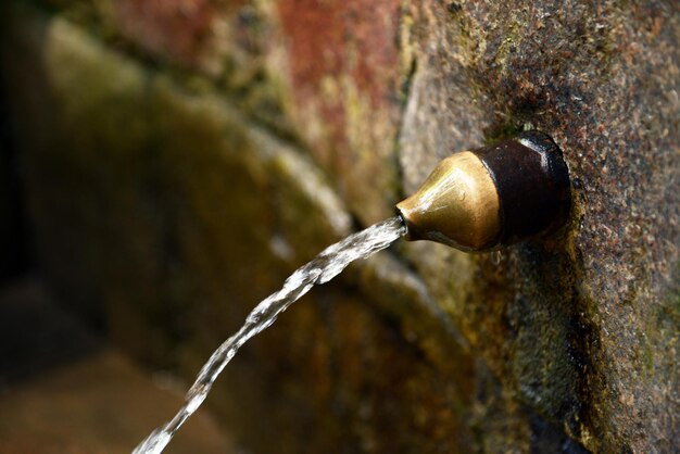 Fuente de agua en el jardín