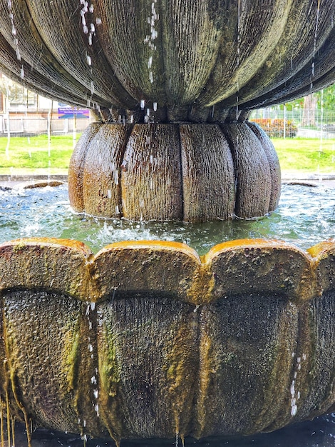 Fuente de agua en un parque con una fuente en el medio.