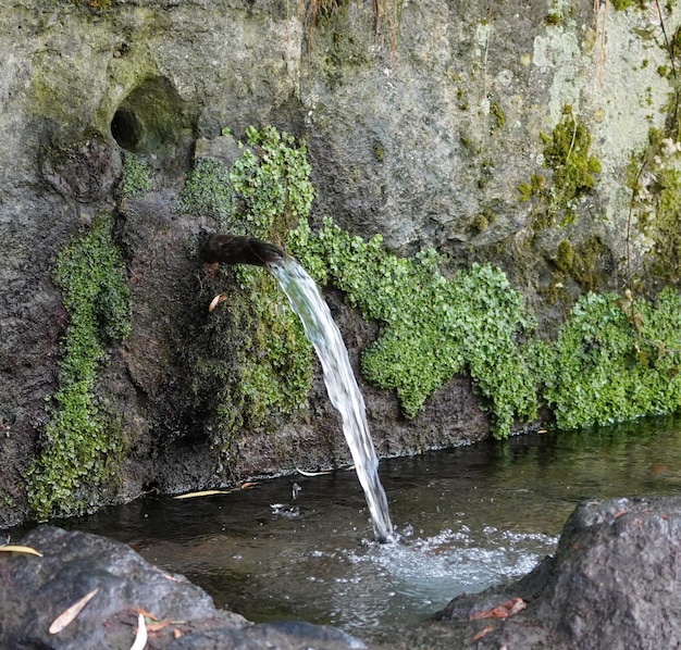 Foto fuente de agua