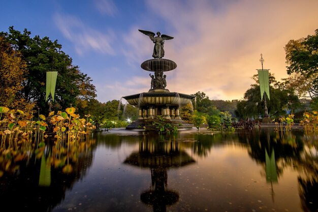 Fuente por los árboles contra el cielo