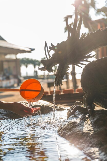 Fuente de bambú y dragón bajo la luz del sol