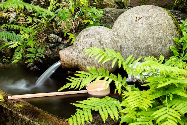 Fuente de calabaza de piedra del templo japonés que fluye agua cucharón de madera de ciprés helechos verdes