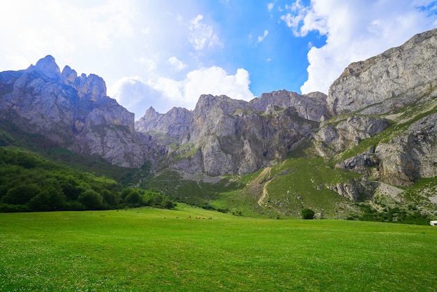 Fuente De-Berge in Kantabrien Spanien