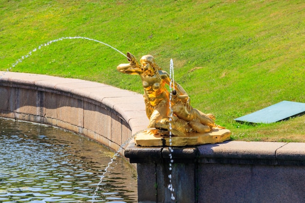 Fuente dorada en el parque inferior de Peterhof en San Petersburgo Rusia