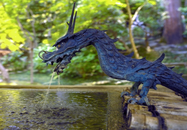 Fuente del dragón en el templo Eikando Zenrinji Eikando Kyoto Japón