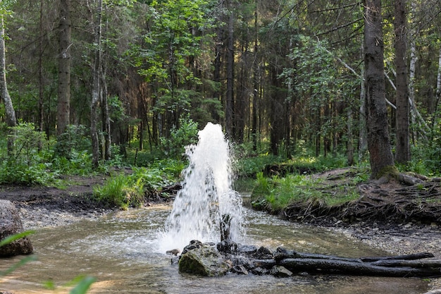 Fuente géiser de agua fría en el bosque de verano Atracción turística natural