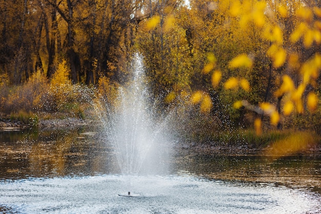 Fuente en el hermoso parque de otoño