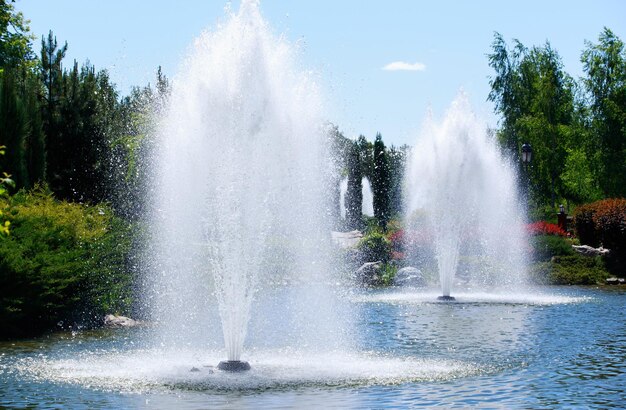 fuente en el lago
