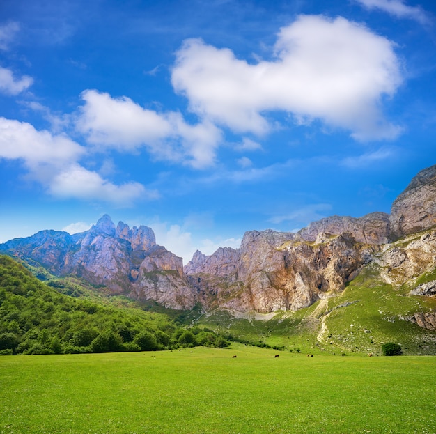 Fuente de montañas en Cantabria España