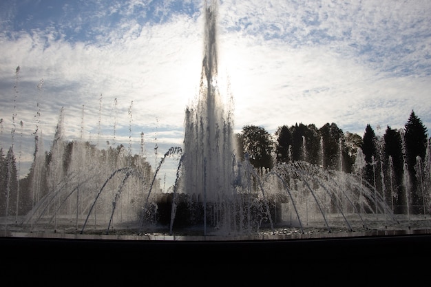 Fuente del parque en la luz de fondo del sol