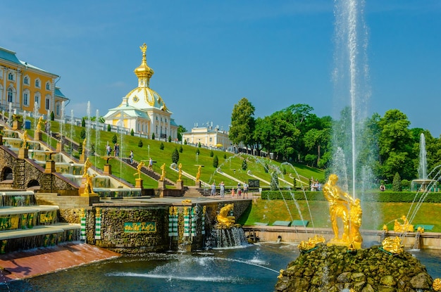 Foto una fuente en el parque con el nombre peterhof