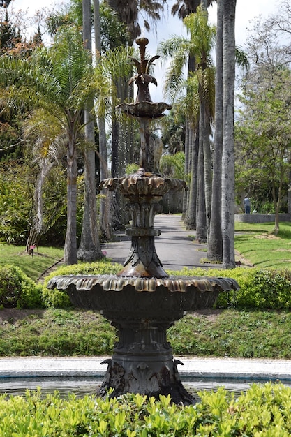 Fuente en el parque