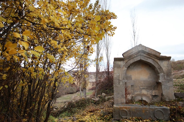 Fuente de piedra montaña aguaxA