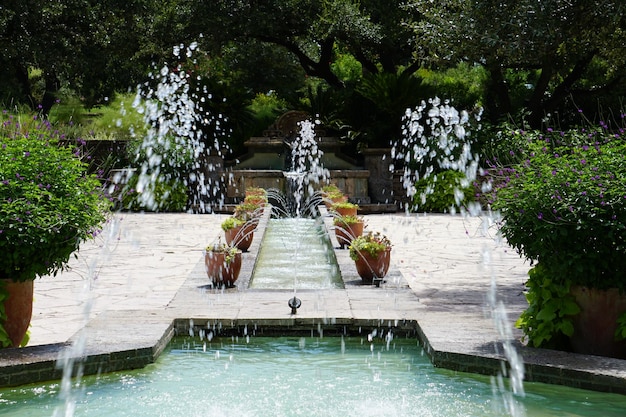 Fuente y plantas en maceta en el parque