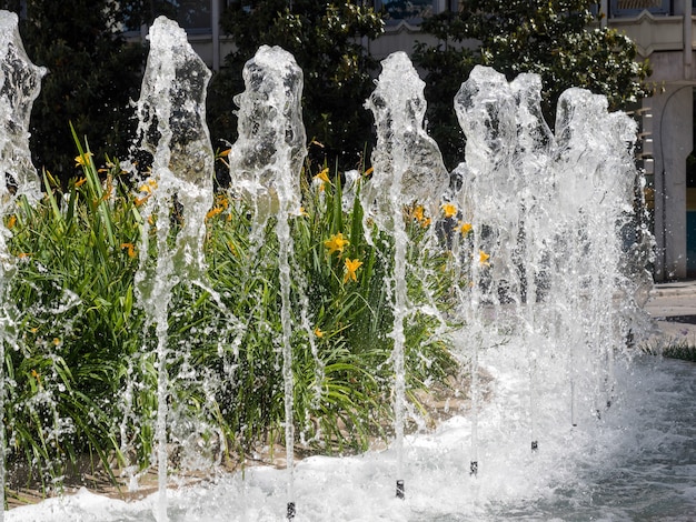 Fuente que rodea el Monumento a Fernando e Isabel en Granada