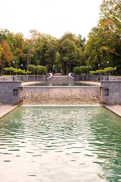 Fuente de verano en el parque en la naturaleza con agua clara.