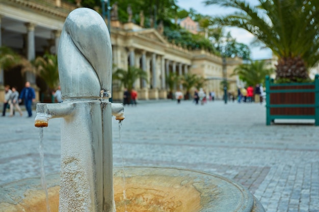 Fuentes curativas de Karlovy Vary